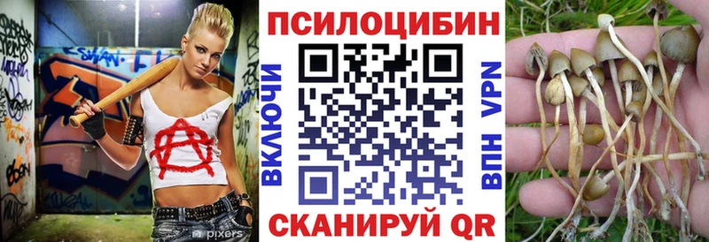 Псилоцибиновые грибы Cubensis  Купить  Ленинградская 